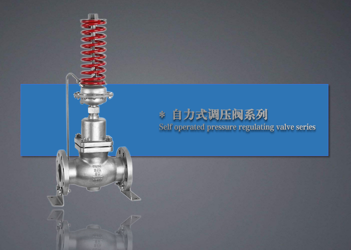 230自力式压力调节阀-杭州海沃流体控制设备有限公司